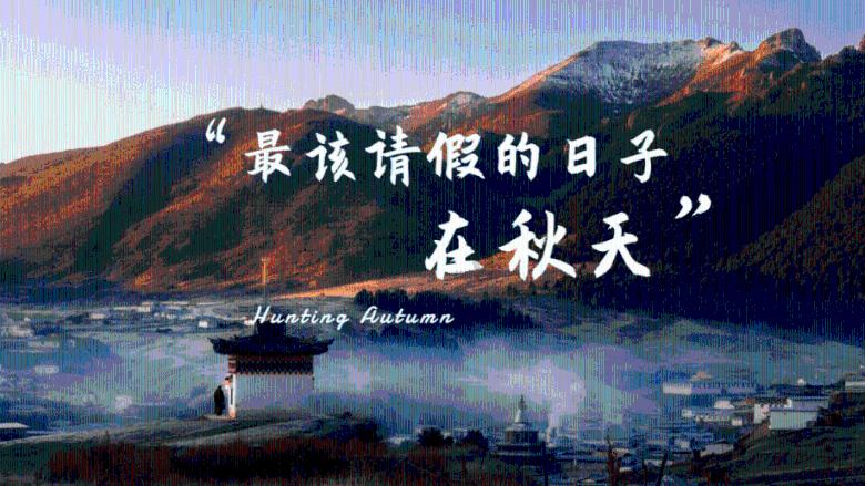 见习小魔女勇闯猪窝岛