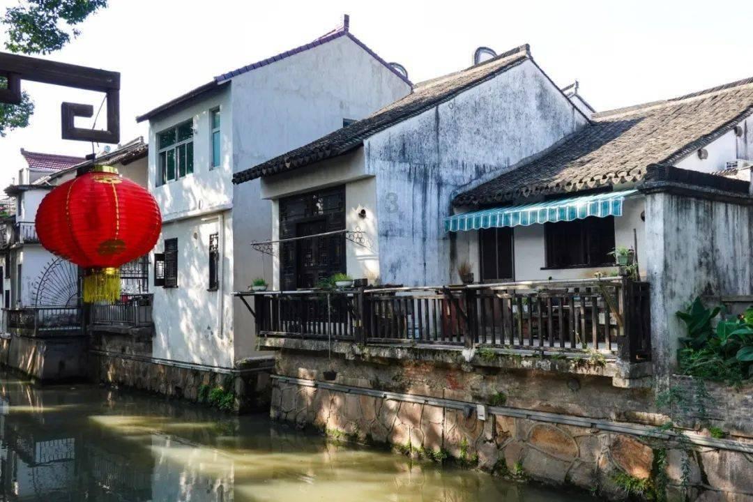 用益生菌谷料来喂养鸡,会让鸡的肉质变得更好吃吗?-专业社区分享平台