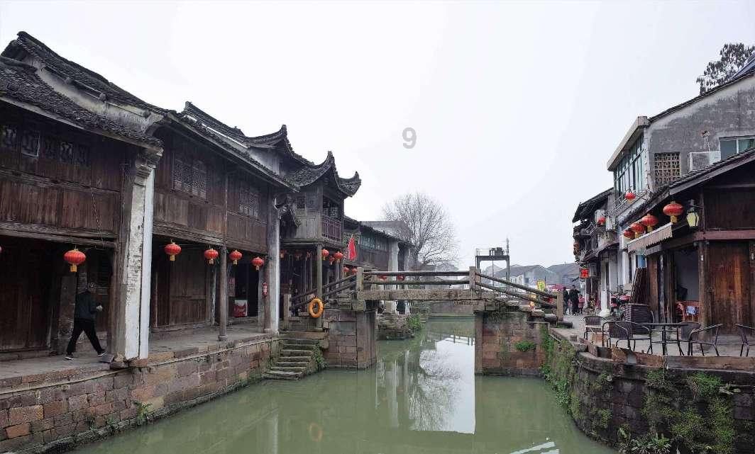 固安：盆栽蔬菜开辟致富新路
